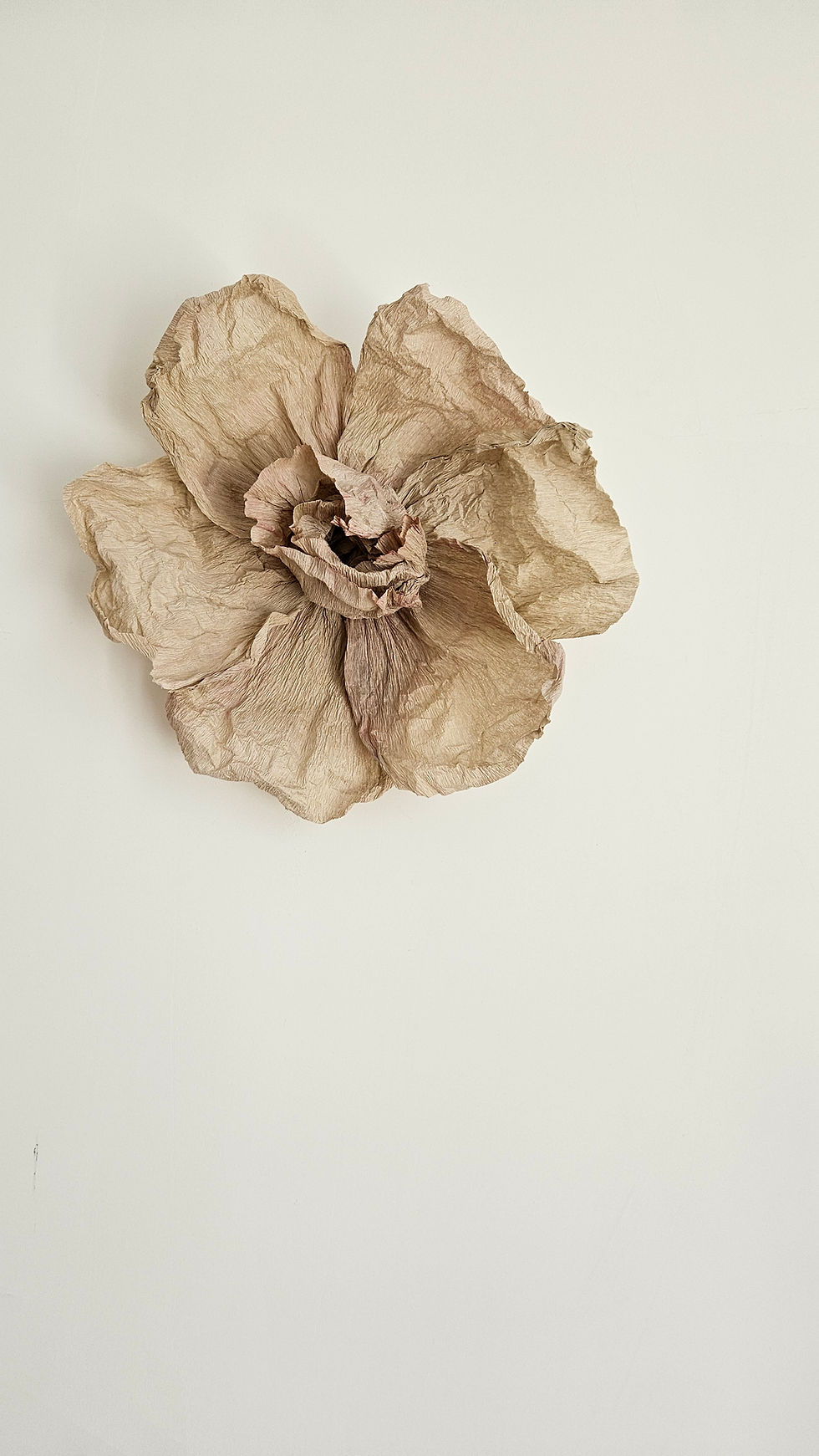 Miniature : FLEUR