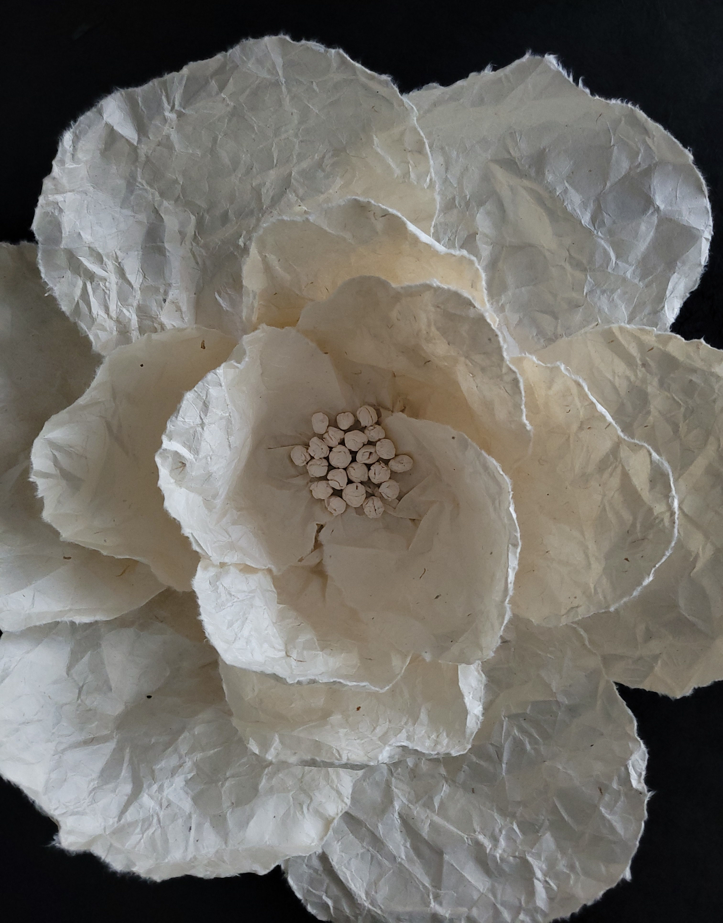 FLEUR CHIFFONNÉE LOKTA