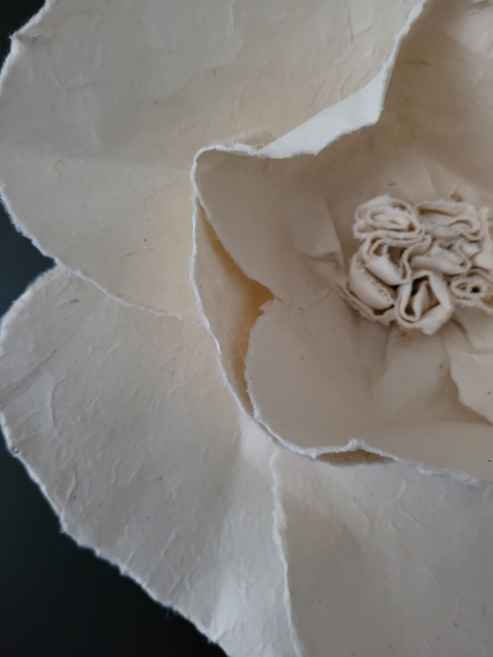 Miniature : FLEUR LOKTA