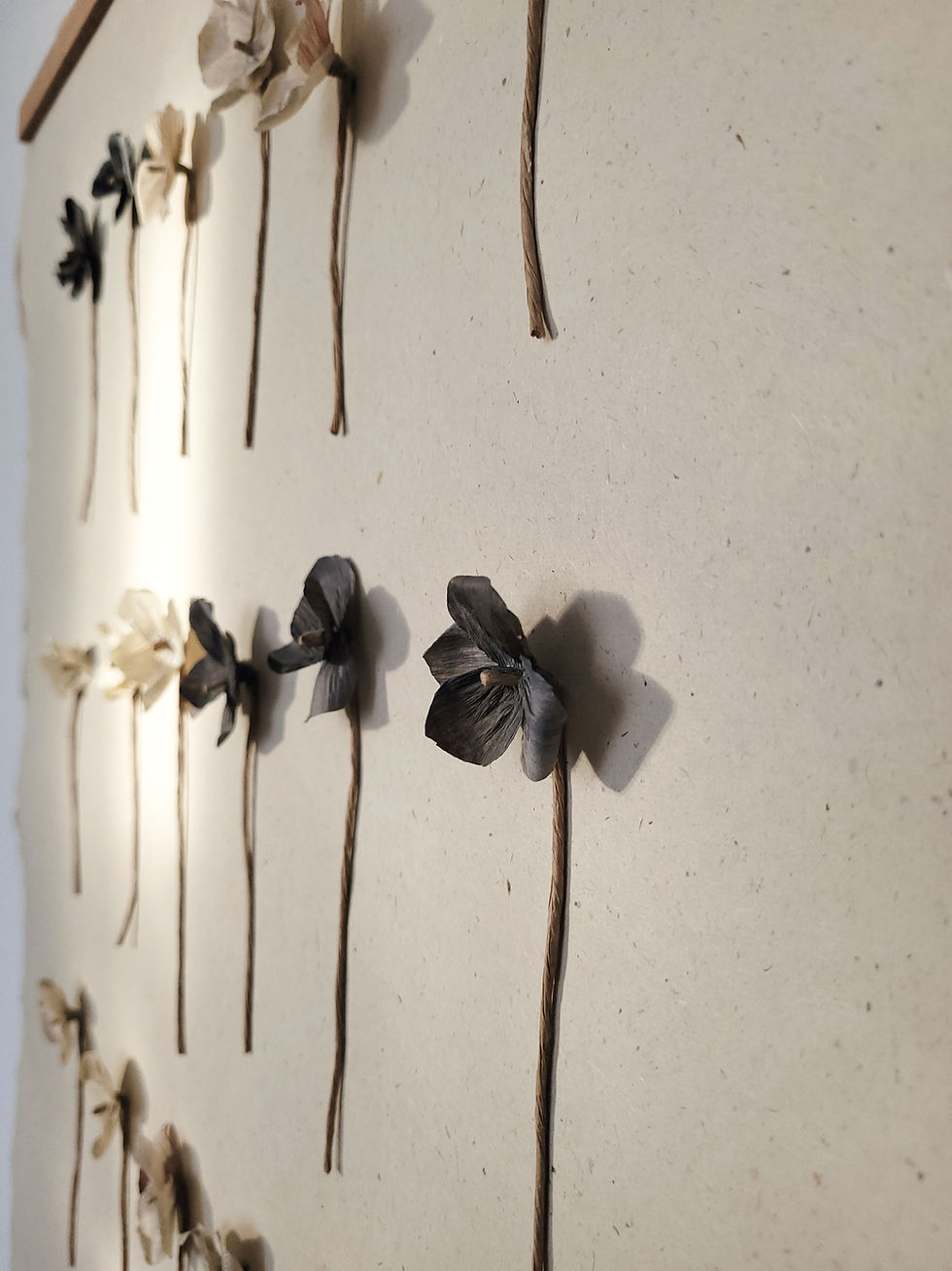 Miniature : GRANDE AFFICHE FLEURS D'IMPATIENS