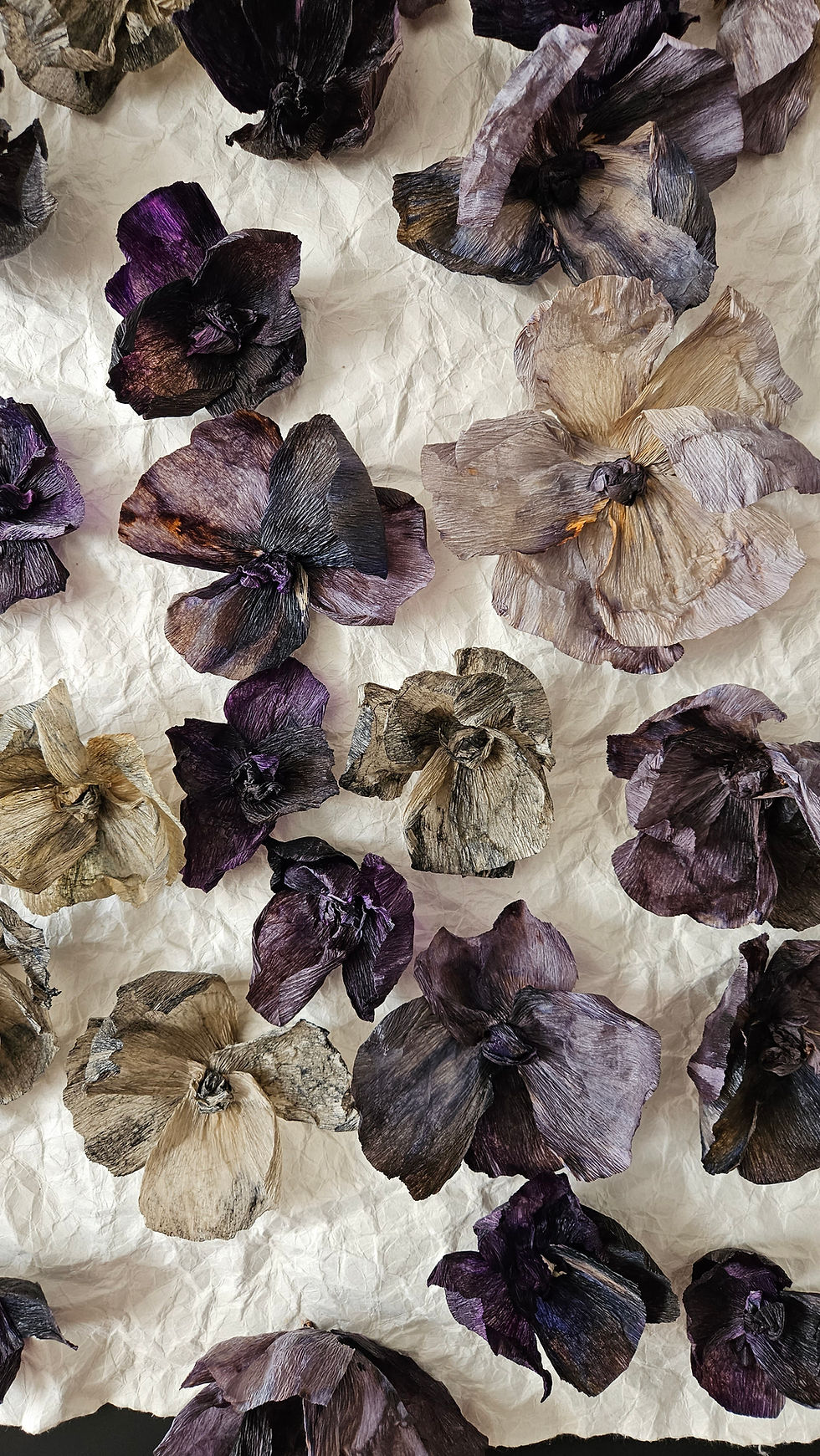 Miniature : LE PRINTEMPS VIOLET
