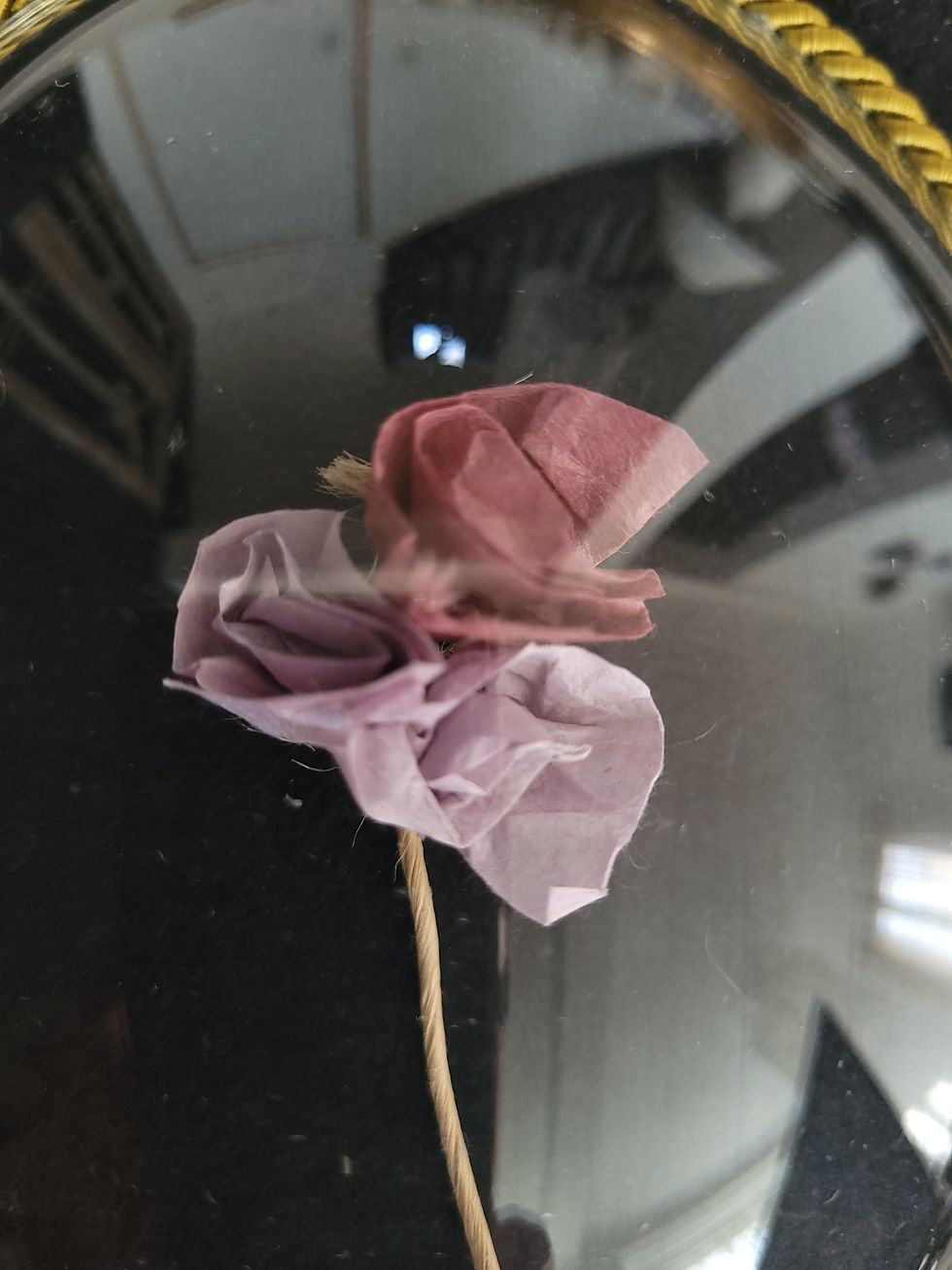 Miniature : CADRE EN VERRE BOMBÉ