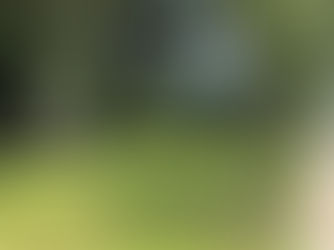 BRIDGEWATER COMMERCIAL SELLS ROSER PARK LAND ASSEMBLAGE