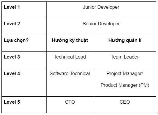 3 cấp độ phát triển sự nghiệp của Dev