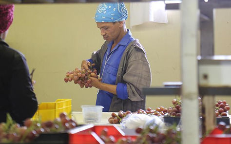 Q1 EMPLOYMENT STATS SEE 8.5 MILLION SA YOUTH WITHOUT JOBS