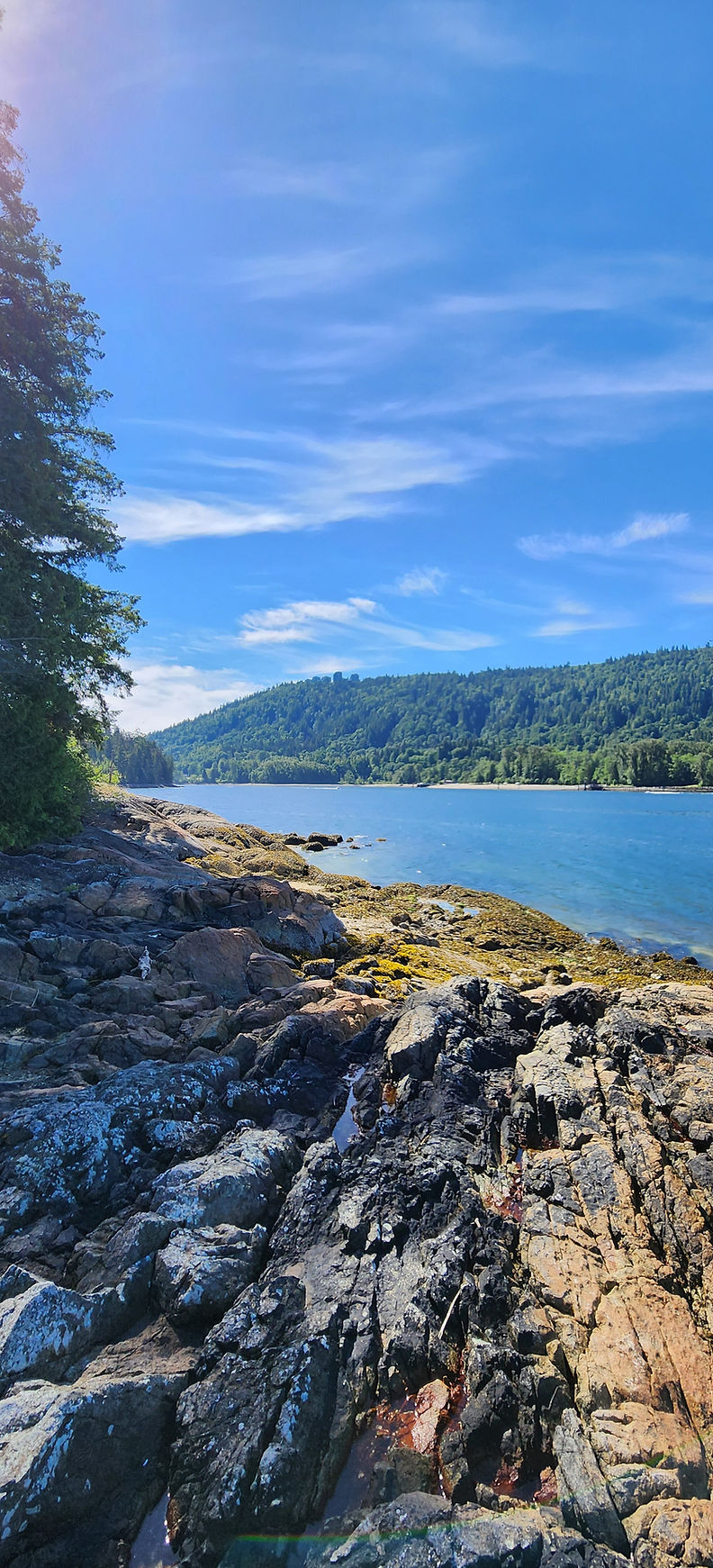 Scenic ocean coastline in British Columbia, symbolising calm and clarity through RTT hypnotherapy with Kate Gibb in Vancouver