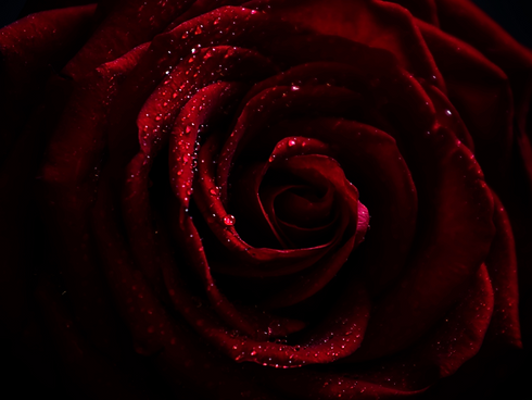 Tantra Header(15).png