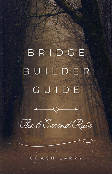 Bridge Building Guide.png