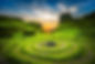 robert-lukeman-_RBcxo9AU-U-unsplash.jpg