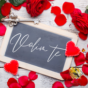 kartice za cvijeće, kartice za bukete, kartice sa porukom, buket sa porukom, buket cvijeća, cvjećarne, cvjećarna, cvijeće, narudžba cvijeća, poruka za cvijeće, cvjetna kartica, cvijeće za poklon, poklon cvijeće