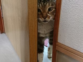 あっ・・。