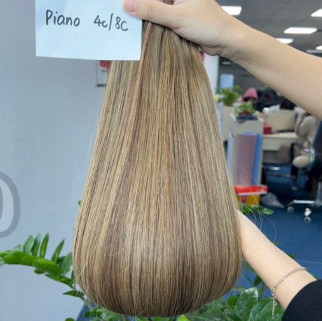 Mushroom Bronde NANOS