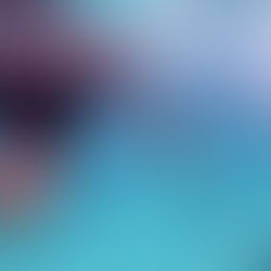 Successful Fish Hunting in Crystal Clear Waters.