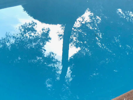 TGIF – A Glance at the Pool Promises a Beautiful Day in Paradise.