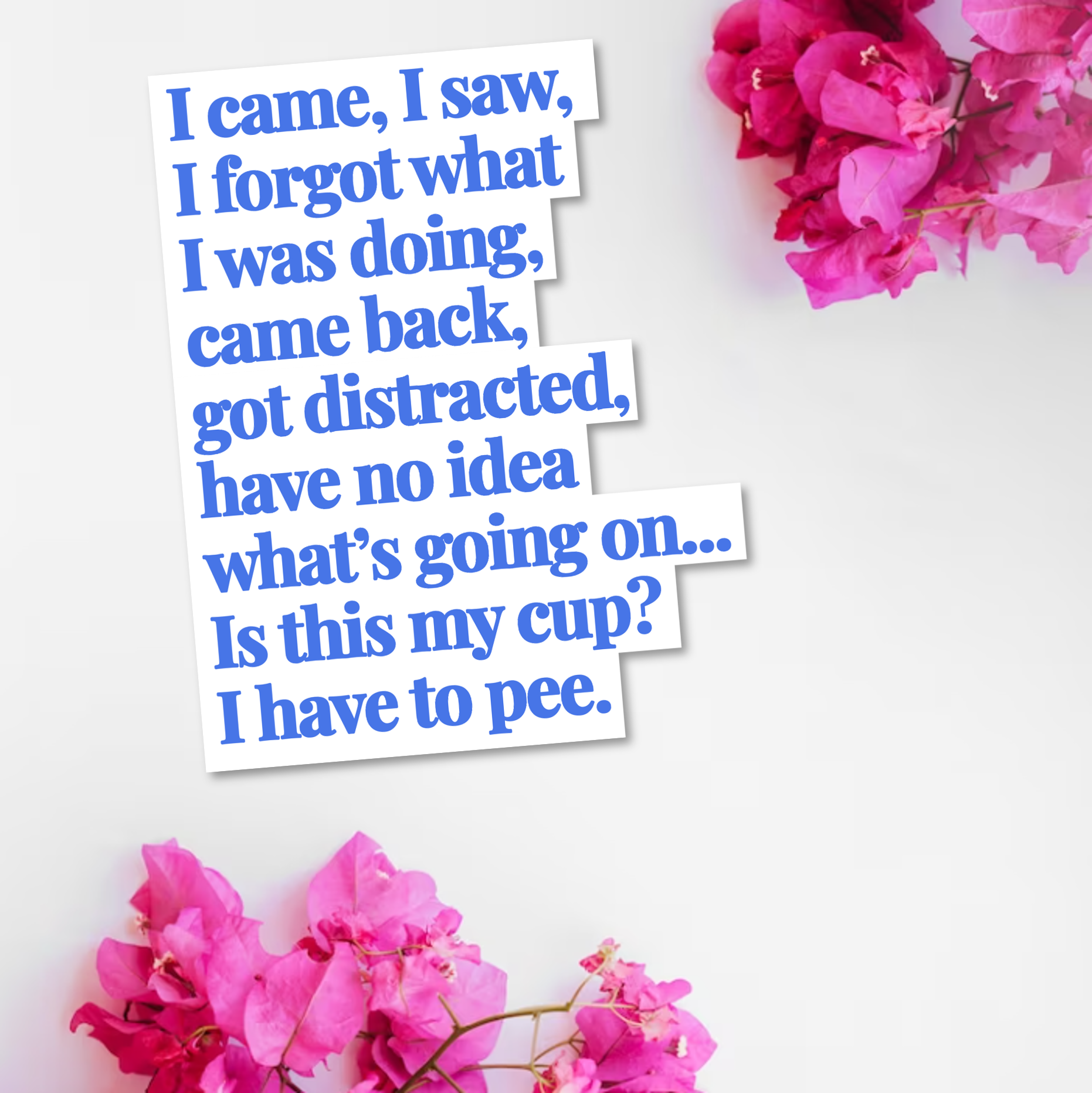 I came I saw I got distracted sticker