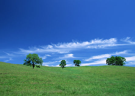 CK061.JPG