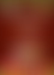 A Magical Christmas Party for Children!