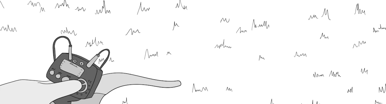 Anim_Nariz_Quimica_1.gif