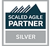 SAI_Partner_Badge_Silver.png