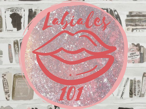 Labiales 101 pt 1