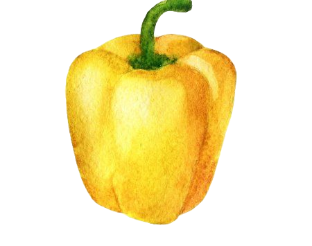 Ensalada JardÃn
