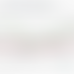 The Story of Zara: The Rise of Fast-fashion