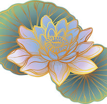 Lotus oriental