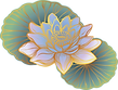 Oriental Lotus