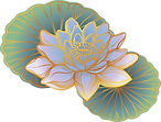Oriental Lotus