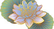 Oriental Lotus