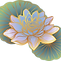 Oriental Lotus
