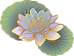 Oriental Lotus