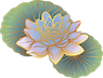 Oriental Lotus