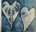 Lynn hearts cyanotype.jpeg
