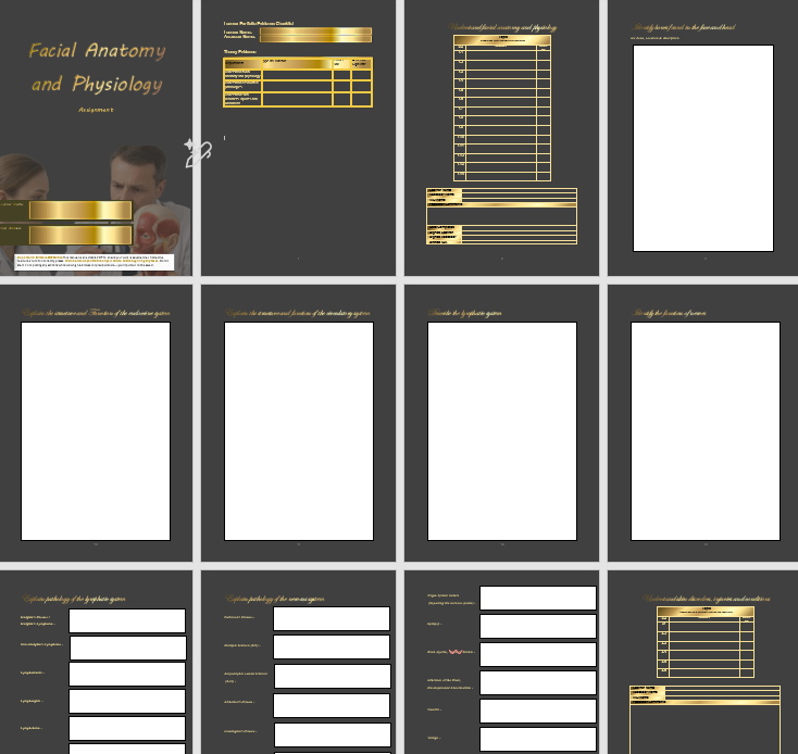 Thumbnail: Level 4 Facial Anatomy & Physiology Tutor Resource Pack (Editable PDFs)