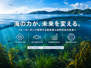 海が日本の脱炭素を変える。「ブルーカーボン」が切り拓くNature-based Solutionsの新たな可能性