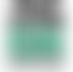 Legacy of Slavery Project: Sunday Morning Follow-up