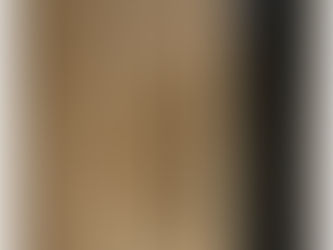 Exterior Front Wood Door