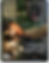 STEM_Feature_Cover_Optimized.png