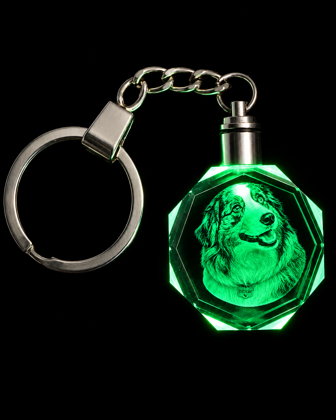 Custom 3D Photo Crystal Octagon Keychain with engraved pet portrait