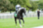TYRRHENIAN SEA - Quelle: The Jockey Club / X