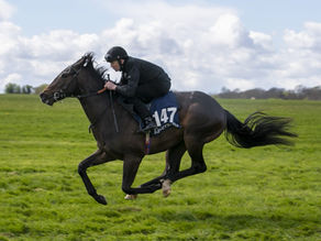 De La Teste à Iffezheim – Les Breeze Ups sont à nos portes