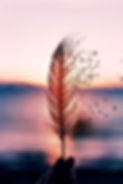 29FA20D3-5333-4765-A8D6-08E54CBB37F4.jpeg