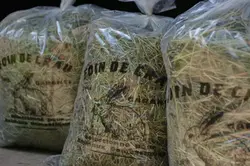 3841781-47df4909862bee