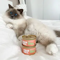 338285069_990519091913044_7140722845404791239_n