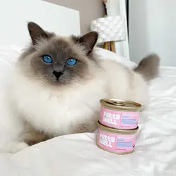 337620475_632772138631761_4889626418156853395_n