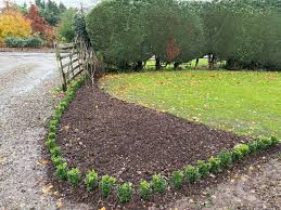 Bed resets Chandler AZ.jpeg