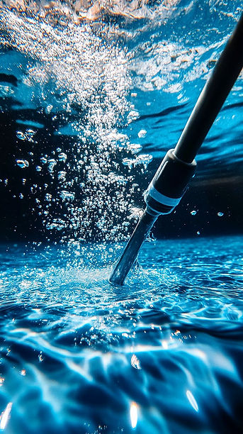 BlueMoon Pool Service jpg.jpg