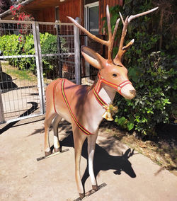 Animales de fibra de vidrio tamaño real