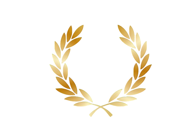 Apollo%20Logo%20White_edited.png